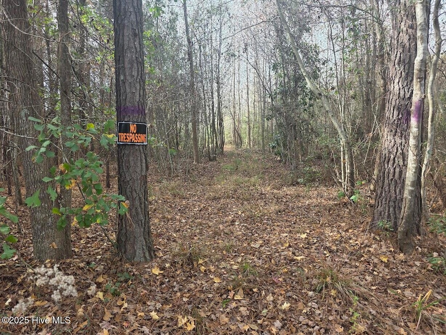 9093 Joe Brown Hwy N, Bladenboro, NC 28320 - photo 1