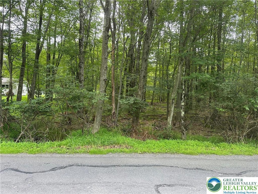 0 Sylvan Ln unit 761516, Pocono Summit, PA 18346 - photo 1