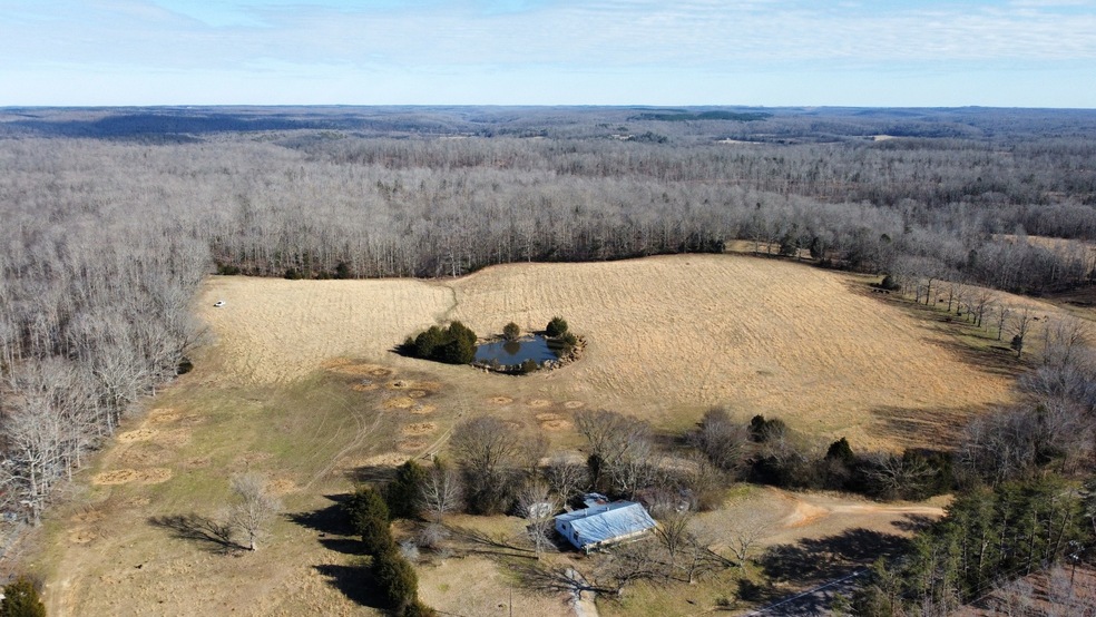 6125 Highway 13 S, Linden, TN 37096 - photo 1