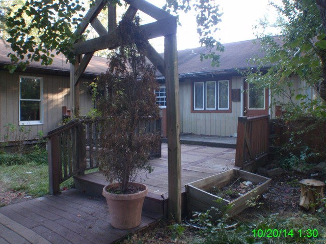 Main View