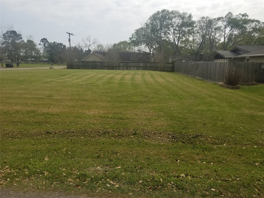 0 Hood and Blackstone unit 96555396, Alvin, TX 77511 - photo 1