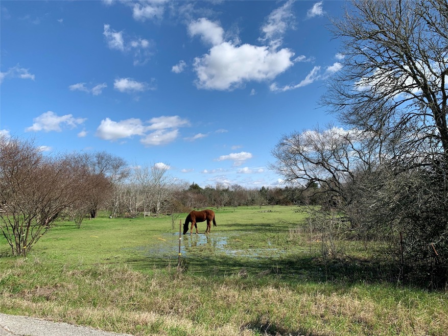 0 Brown Ln unit 17220465, Needville, TX 77461 - photo 1