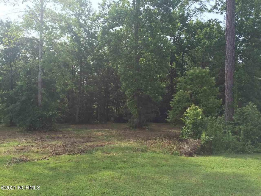 110 Winestone Place, Jacksonville, NC 28546 - photo 1