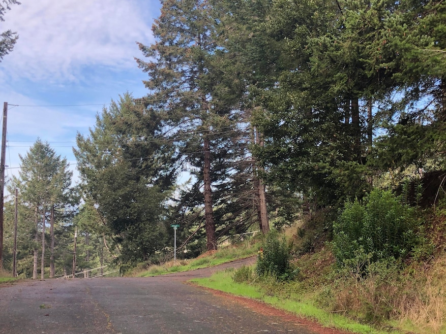 27 Buckhorn Ct, Whitethorn, CA 95589 - photo 1