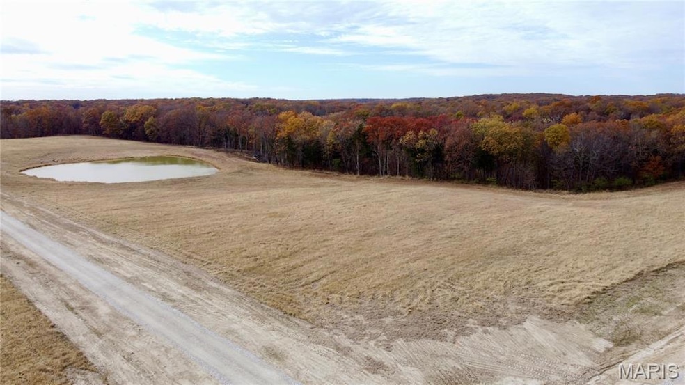 Tract 10 Polston Ln, Hickory Grove Township, MO 63357 - photo 1