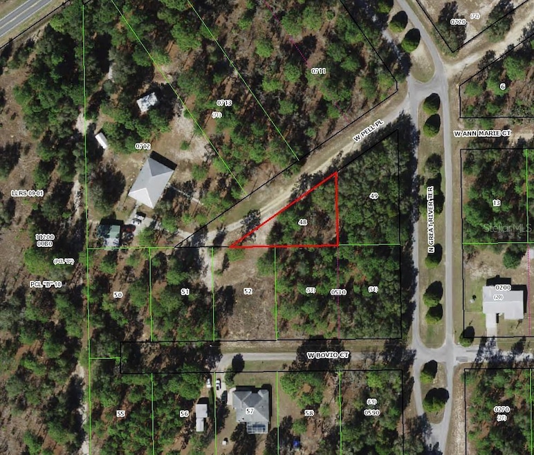 6182 W Pell Place, Dunnellon, FL 34433 - photo 1