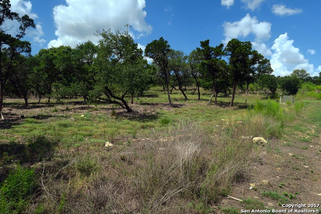 20711 Blue Quail Run, San Antonio, TX 78256 - photo 1