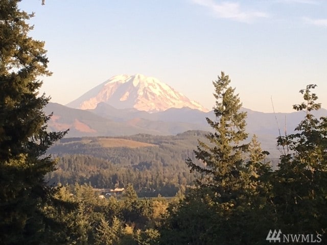 27410 SE 402nd St, Enumclaw, WA 98022 - photo 1