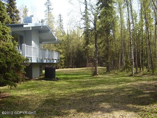 Private lot, huge trees!