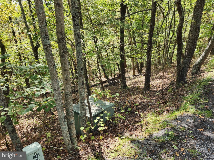 0 Johnston St unit VASH2006994, Basye, VA 22810 - photo 1