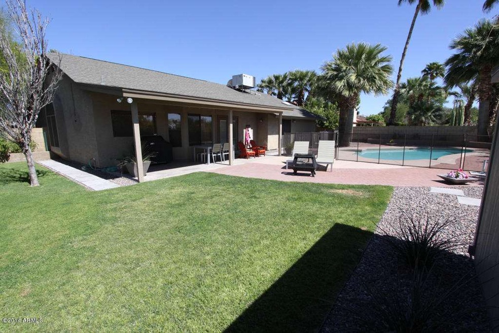 Backyard1