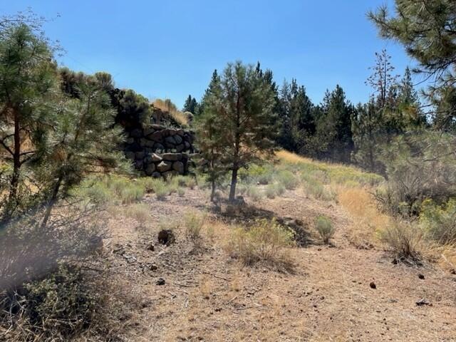 Bare Land