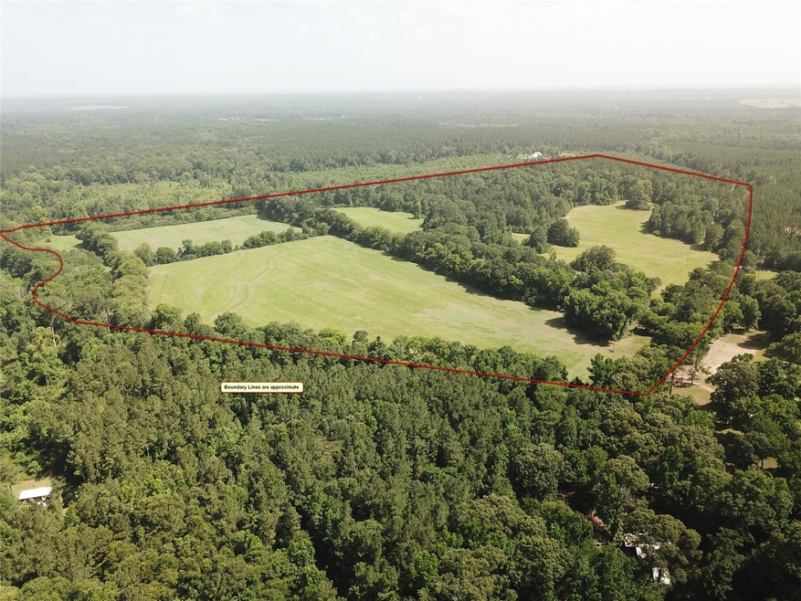 00 Dorsey Rd, Milam, TX 75959 - photo 1