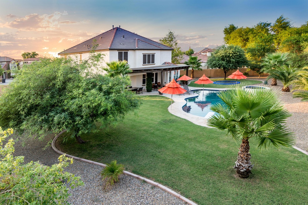 Unbeatable Backyard