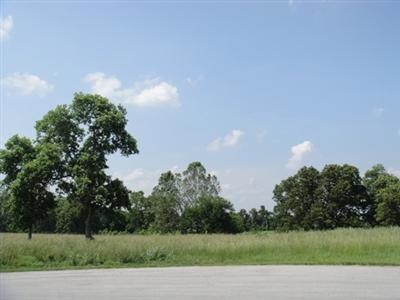 1045 W Cattail Ct, Nixa, MO 65714 - photo 1