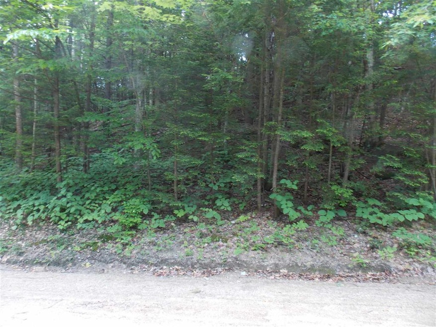 13 Brookside Rd, Newbury, NH 03255 - photo 1