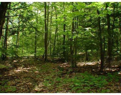 land photo