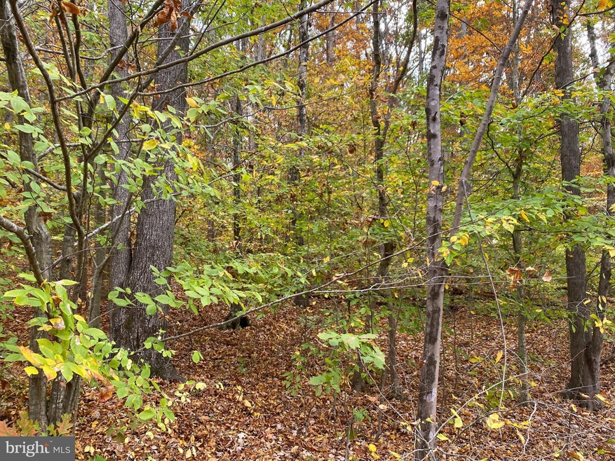 17134 Arrow Point Dr, Orange, VA 22960 - photo 1