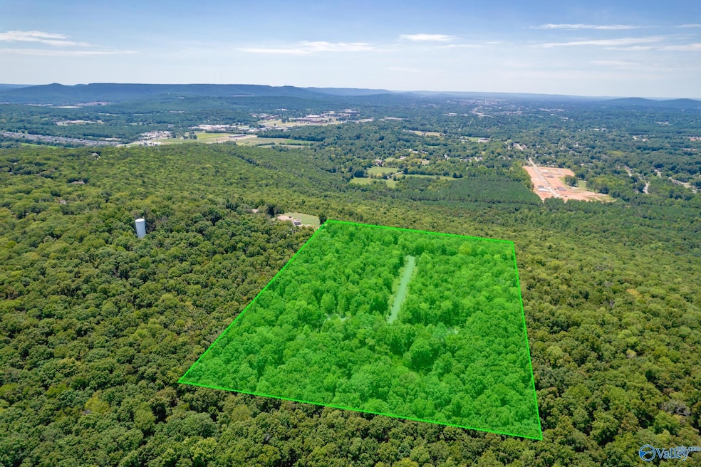 14 Acres Apache Rd NW, Huntsville, AL 35810 - photo 1