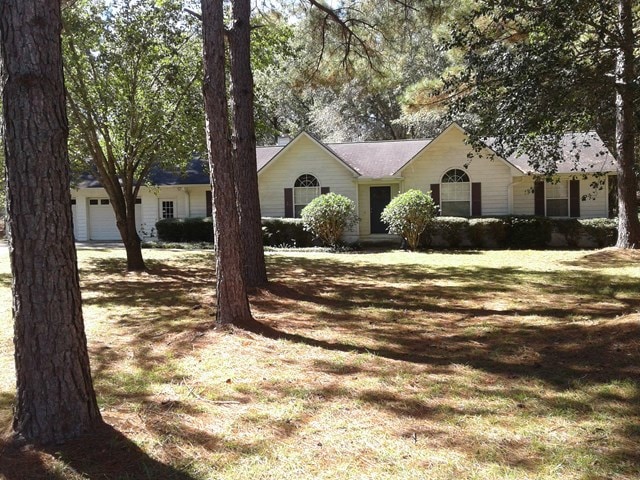 Main View