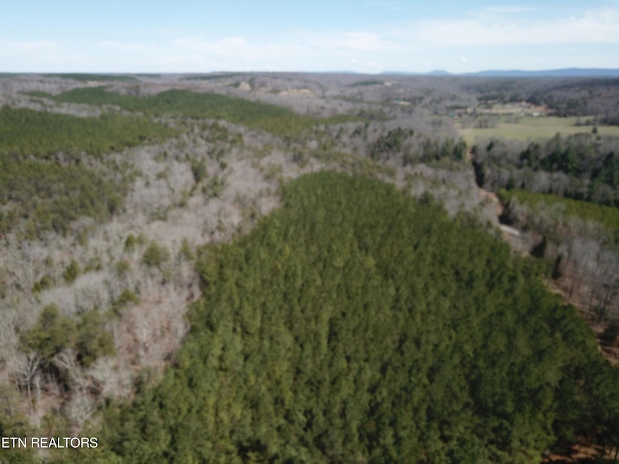 DJI_0316