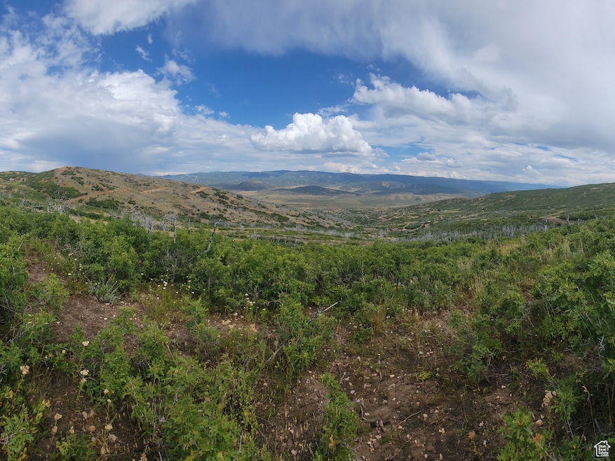 View from the top of the property looking down at the mountain's and tree's