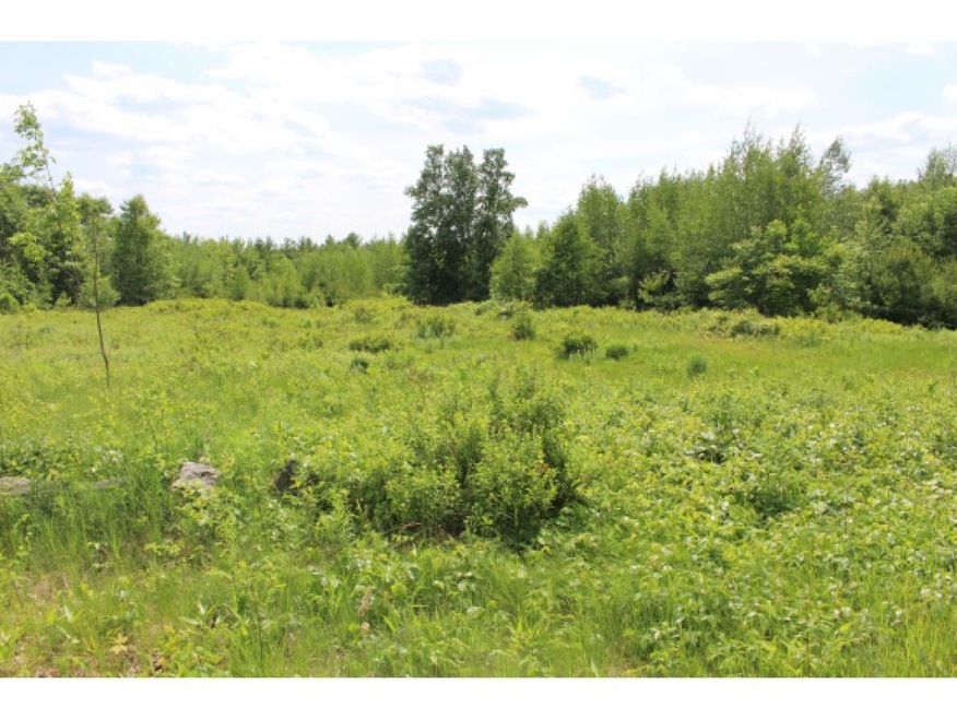 133 Twist Hill Rd, Dunbarton, NH 03046 - photo 1