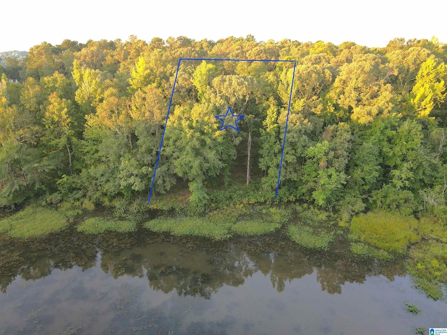 53 Summers Bend, Sylacauga, AL 35151 - photo 1