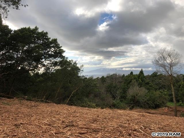 0 Haleakala Hwy unit Lot 37 384266, Kula, HI 96790 - photo 1