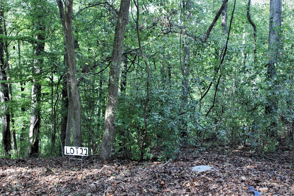 Lot22b photo