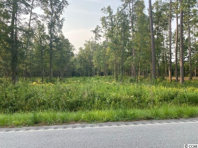 Lots 1-3 State Highway 65, Conway, SC 29526 - photo 1