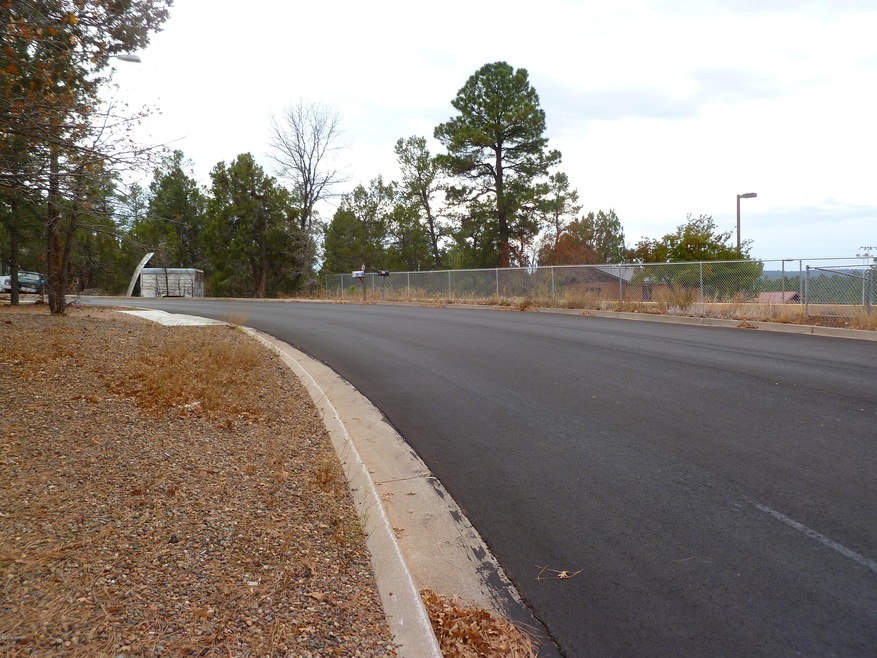 881 S 11th Dr unit 5, Show Low, AZ 85901 - photo 1