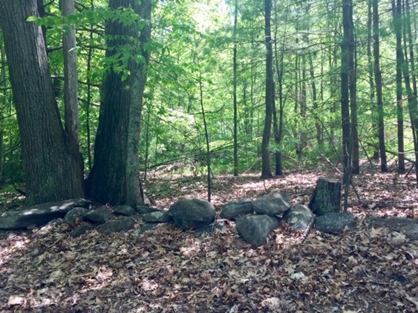 75 Hammond St, Acton, MA 01720 - photo 1