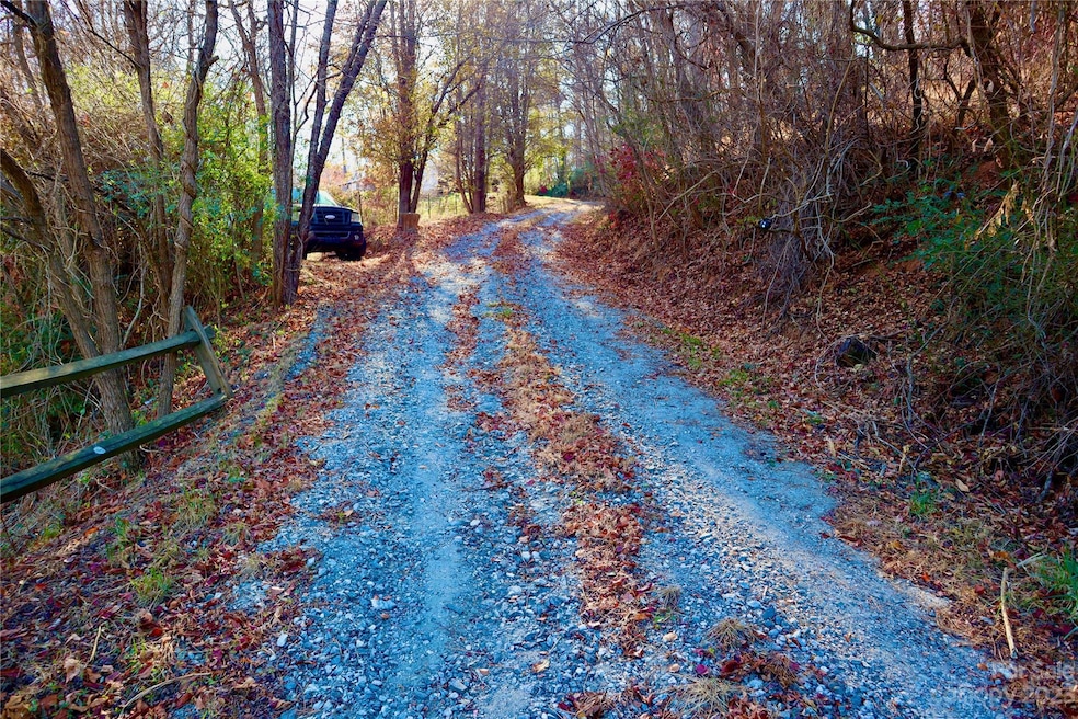 1011 Clark Branch Rd, Asheville, NC 28806 - photo 1