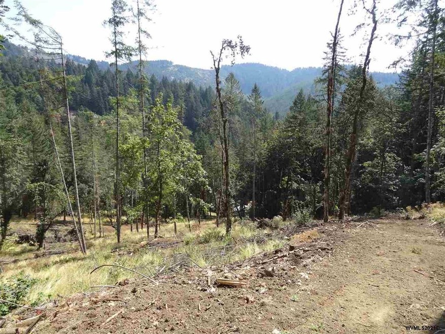 24845 Hidden Valley Rd, Philomath, OR 97370 - photo 1