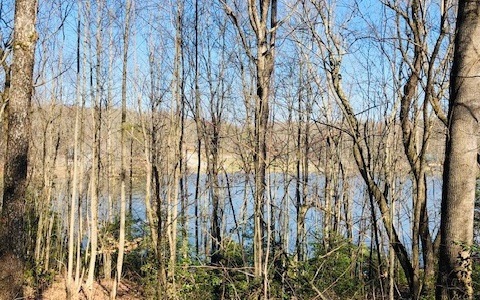 0 Hefner Lake Rd 16+ac, East Ellijay, GA 30536 - photo 1