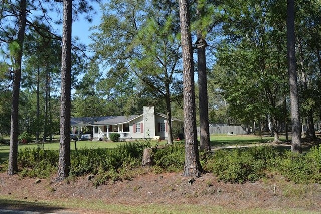 Main View