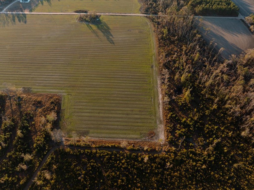 00 Chesapeak Rd, Alma, GA 31510 - photo 1