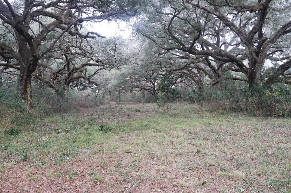 1220 U S 41, Dunnellon, FL - photo 1