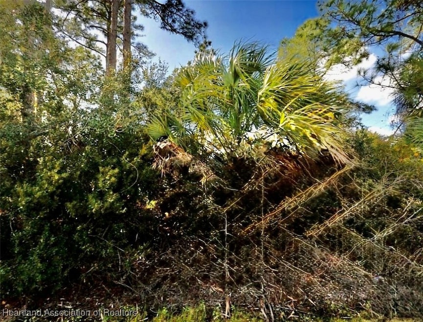 0 Abdella Ln unit 316988, North Port, FL 34291 - photo 1