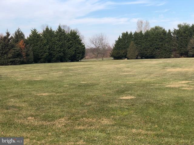 0 Vulcans Way unit 1004342969, Warwick, MD 21912 - photo 1