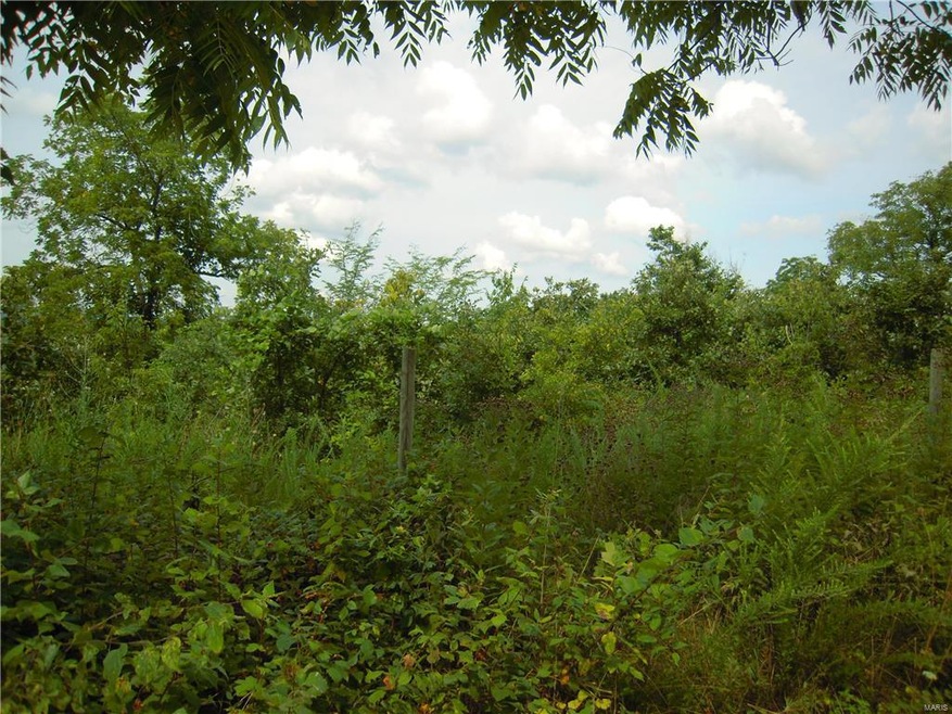 0xxx County Road 518, Spring Creek Township, MO 65580 - photo 1