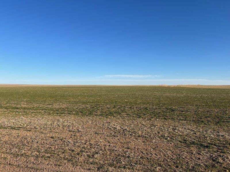 For Sale $6,380,000 • Co-Listing Agent