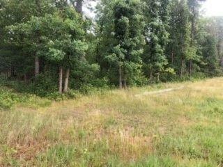 V/L James Rd, Baldwin, MI 49304 - photo 1