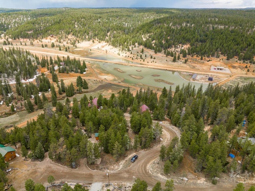 Drone view