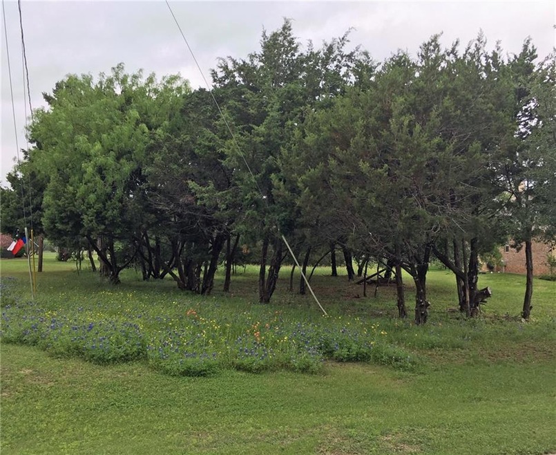 24009 Oak Shadow, Whitney, TX 76692 - photo 1