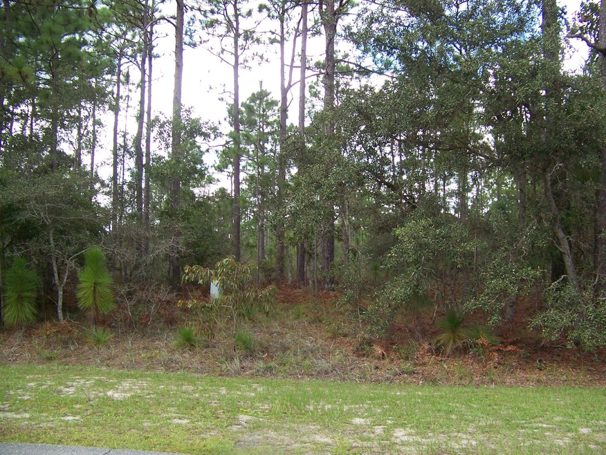 wooded
