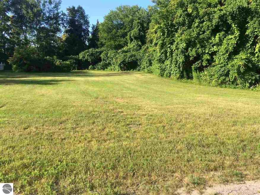 157 Mitchell Ct, Elk Rapids, MI 49629 - photo 1