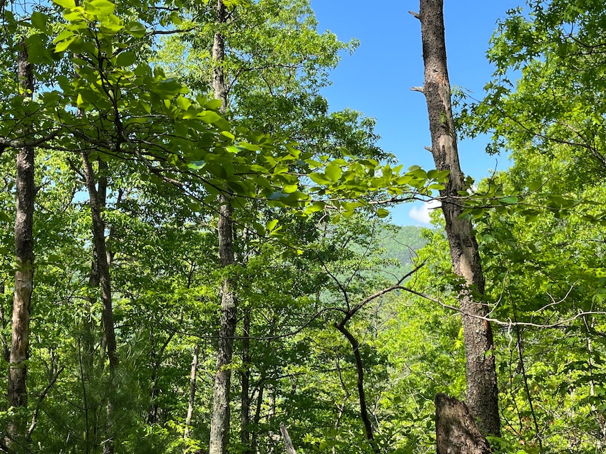 borders USFS