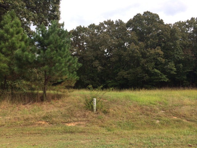 151 Fox Trail Run, Oxford, MS 38655 - photo 1